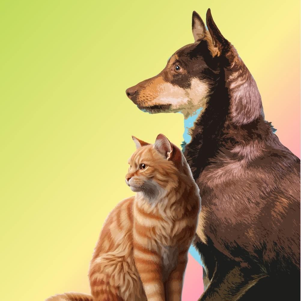 Центр адопції тварин КП 'Київська міська лікарня вет. медицини'